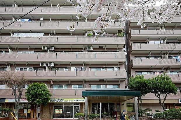 NICライブステイツ戸塚ガーデン・金子ヴィラ(3LDK) 7階のその他画像