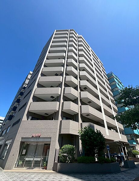 外観：312001091362