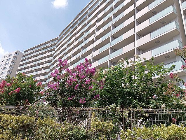 外観 アクシア八王子ピュアマークス 11階/-