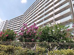 アクシア八王子ピュアマークス