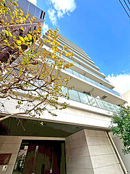 ミオカステーロ入谷