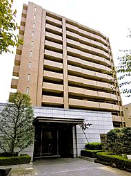 コスモハイセレサ川口本町