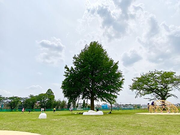 その他を拡大表示