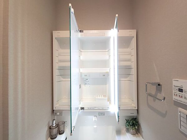 鏡裏には歯ブラシや化粧品も収納できます。