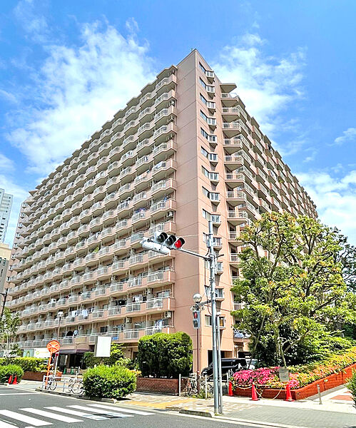外観：313004699976