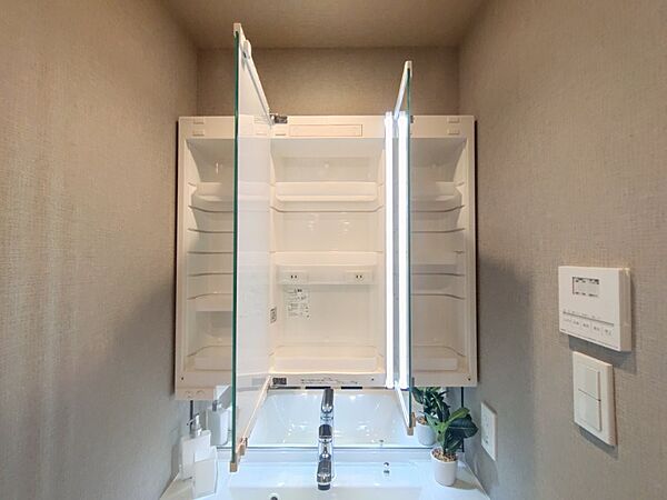 鏡裏には歯ブラシや化粧品も収納できます。