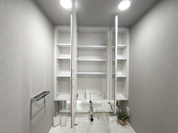 鏡裏には歯ブラシや化粧品も収納できます。