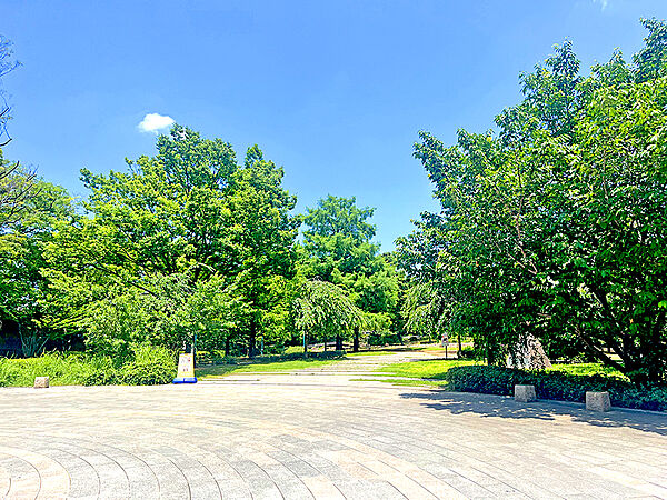 浜町公園　区内最大の公園！