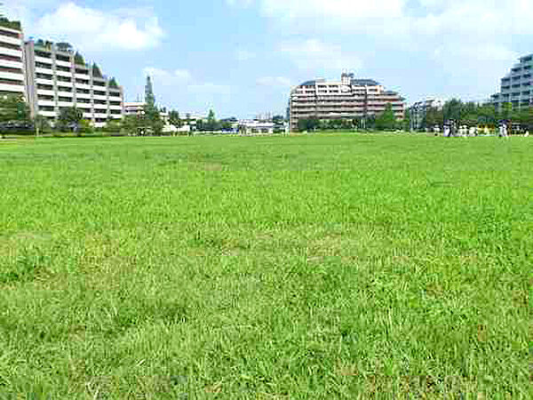 桃井原っぱ公園