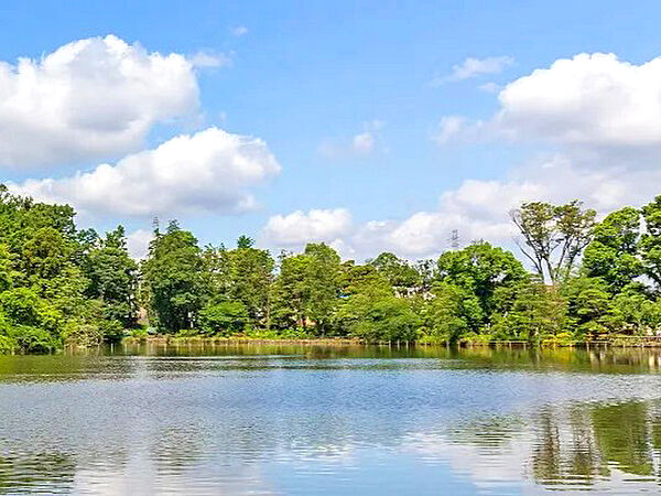 善福寺公園
