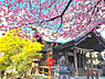 その他：藏前神社