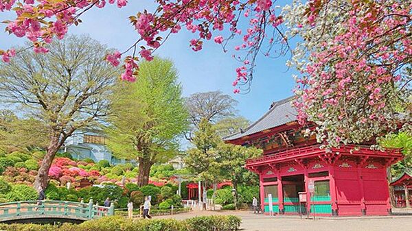 根津神社　徒歩4分