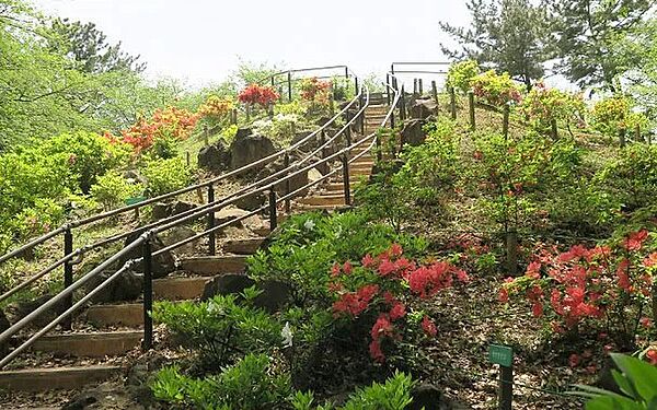 戸山公園