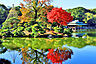 その他：清澄庭園