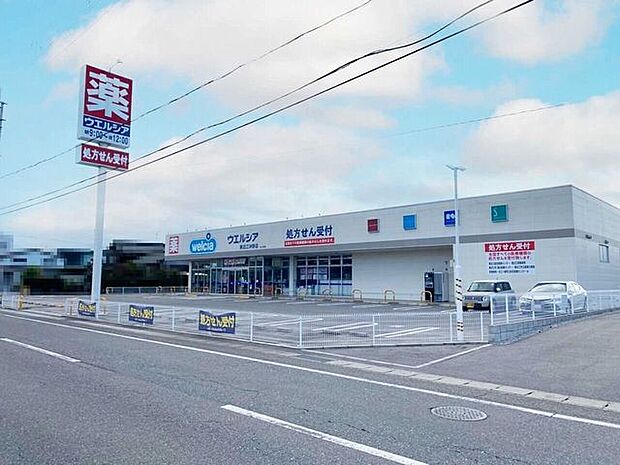 ドラッグストア ウェルシア東近江沖野店 580m