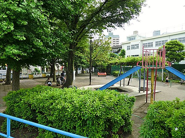 周辺を拡大表示