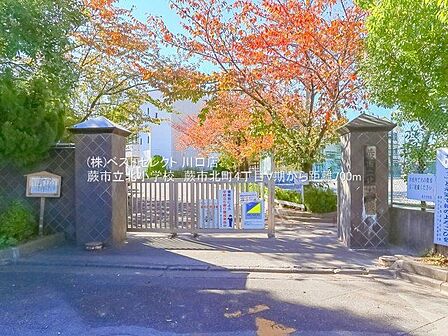 蕨市立北小学校 540m