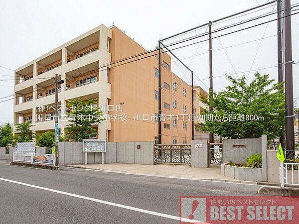 川口市立青木中央小学校 490m