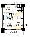 エステムプラザ京都河原町通2レジデンシャル4階3,890万円