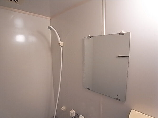 画像29:浴室の鏡も何気に嬉しいですね。