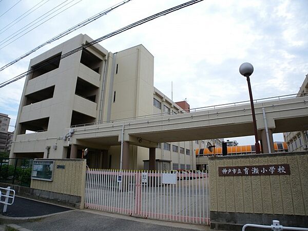 画像24:神戸市立有瀬小学校（613m）