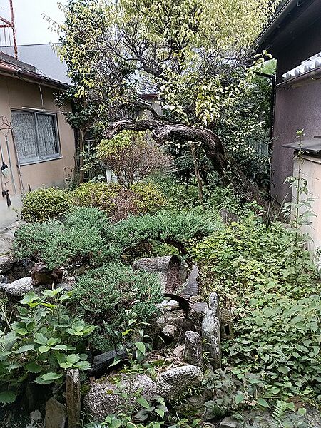 中庭