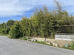 千葉県山武市白幡2294-20