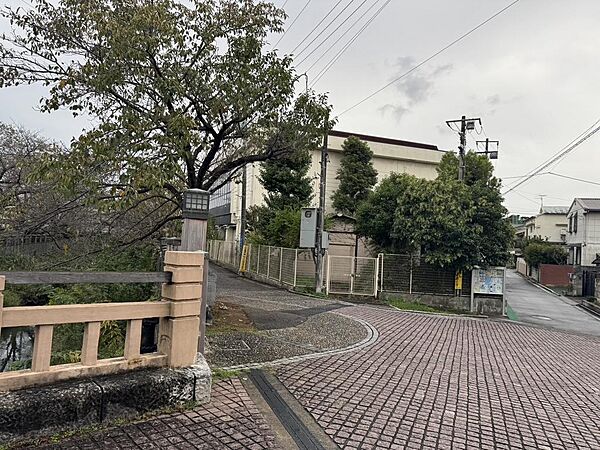 すぐ近くの橋がきれいです