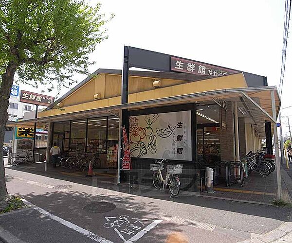 画像30:生鮮館なかむら 衣笠店まで172m 新鮮な食材が勢揃い