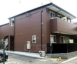 ＳＴＥＬＬＡ　ＡＬＰＩＮＡ