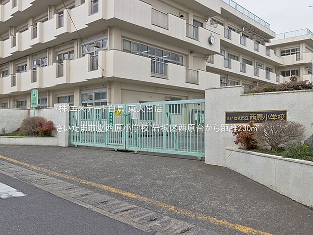 さいたま市立西原小学校（230m）