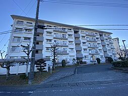 東鷲宮ニュータウン駅前通り