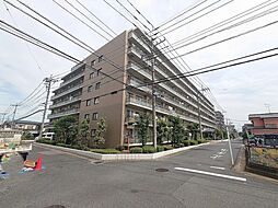 ベルドゥムール春日部東