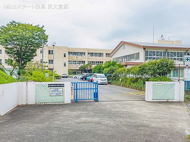 春日部市立中野小学校(1100m)