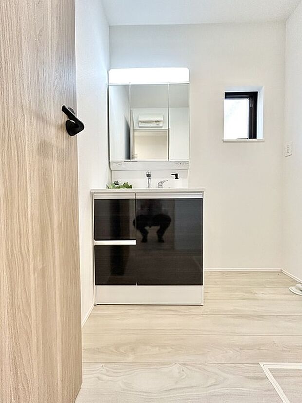 三面鏡にハンドシャワー付き、 使いやすい洗面台。