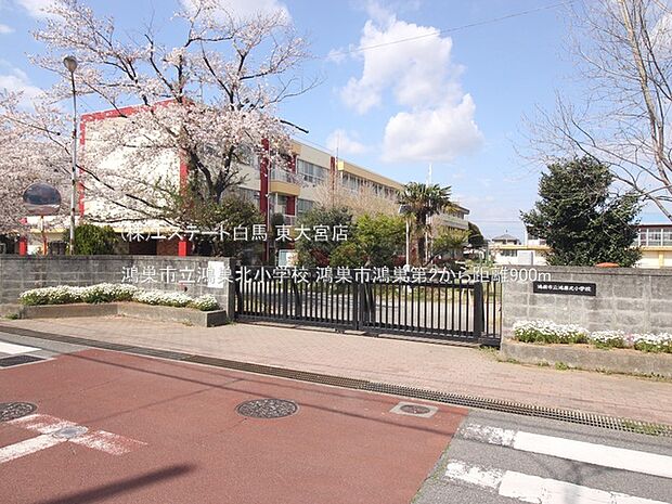 鴻巣市立鴻巣北小学校(900m)