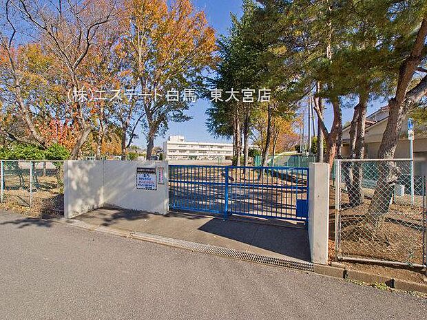 春日部市立中野小学校（264m）