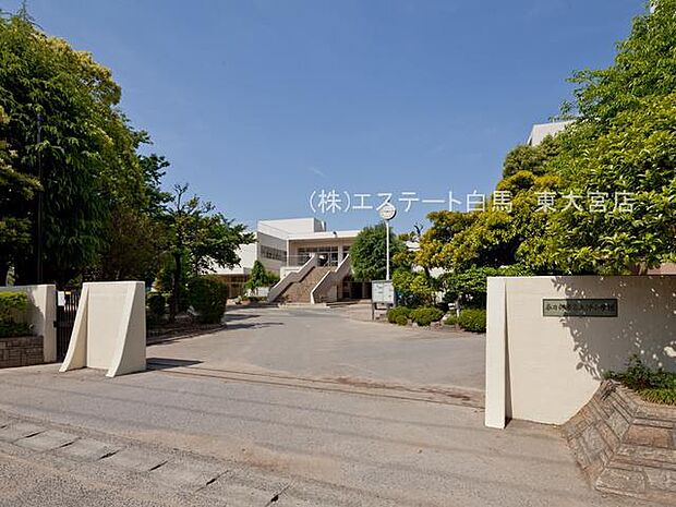 春日部市立上沖小学校(1300m)