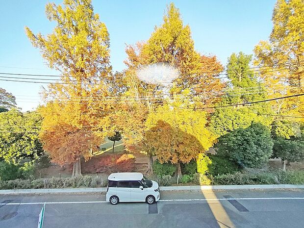 ゆったりとした緑地の多い立地ならでは!このビュースポットは見ごたえあります。