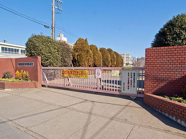 さいたま市立泰平小学校(1000m)