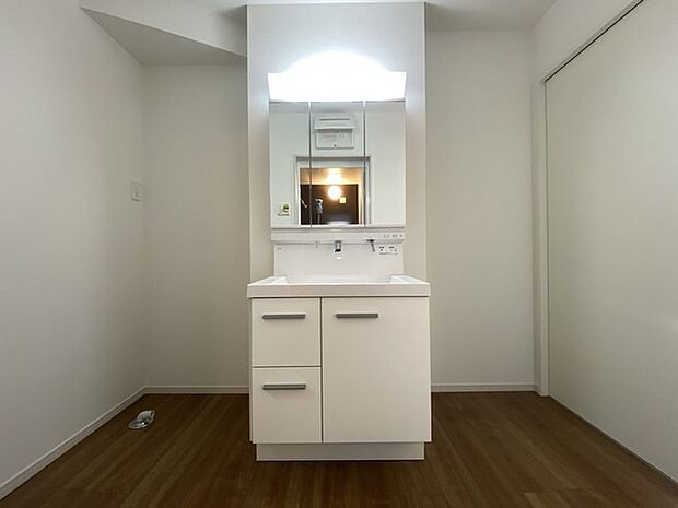 三面鏡にハンドシャワー付き、 使いやすい洗面台。