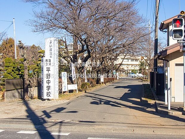 蓮田市立平野中学校(1980m)