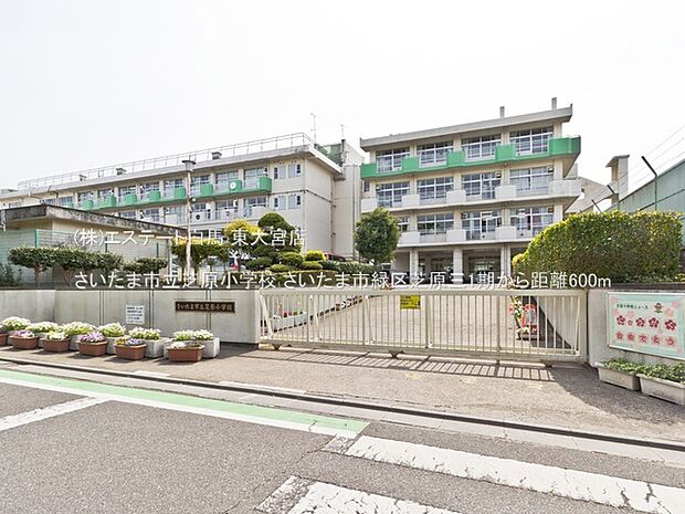 さいたま市立芝原小学校(600m)