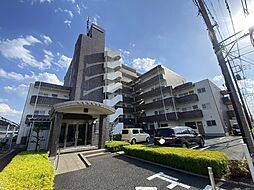 ミューアダマスグランテ