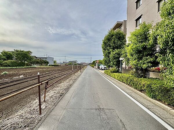 周辺の街並み（50m）