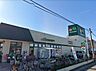 周辺：マルエツ 三橋店（250m）