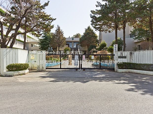 春日部市立緑小学校(900m)