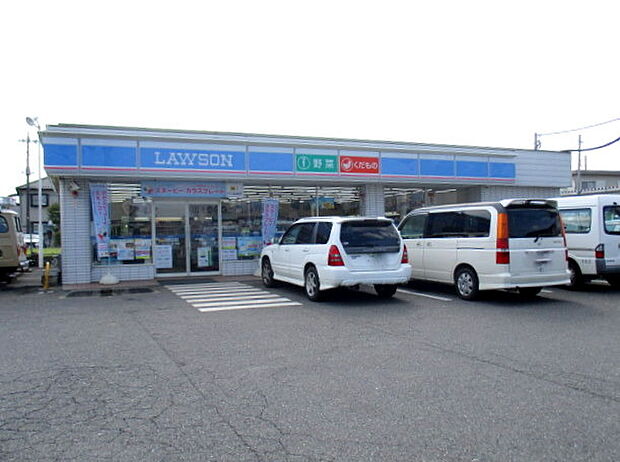 ローソン上尾上野店(770m)