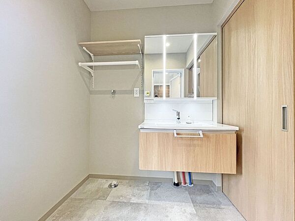 三面鏡にハンドシャワー付き、 使いやすい洗面台。