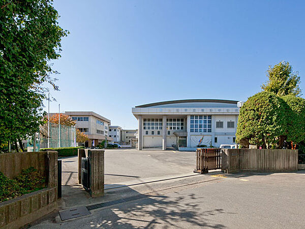 白岡市立篠津中学校（800m）
